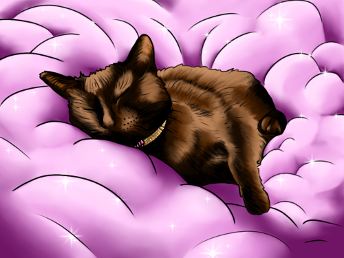 A cat sleeping in pink clouds.