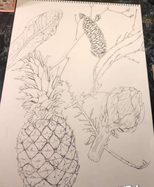 A pencil drawing of sticks, a pinecone, a pineapple, and a lettuce leaf